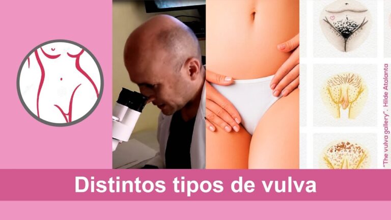 Tipos de Vagina: Um Guia Visual