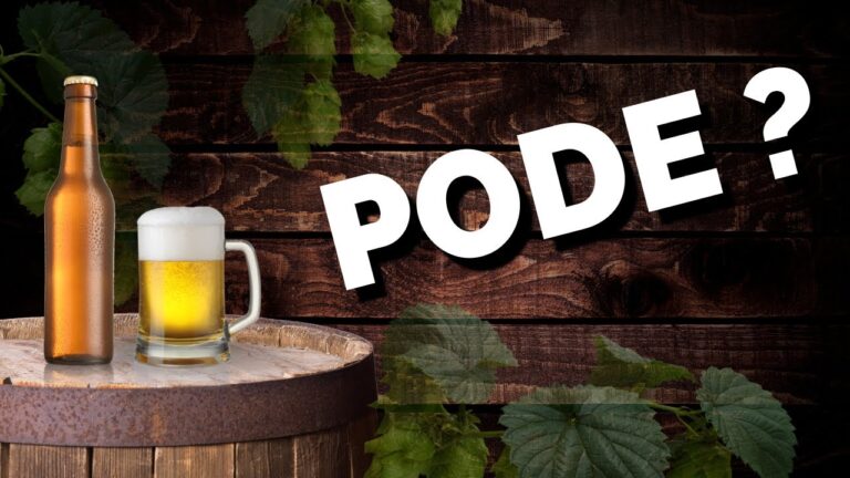 Beber cerveja após a remoção da vesícula: o que você precisa saber