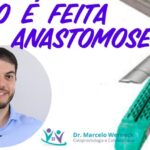 Significado e Import&acirc;ncia do MSS