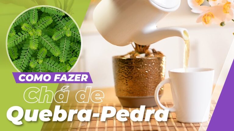 Benef&iacute;cios do Ch&aacute; de Quebra-Pedra Rasteira