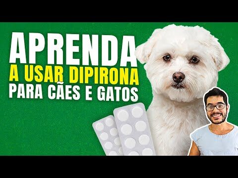 Dose Segura de Dipirona para C&atilde;es em mg/kg e Gotas