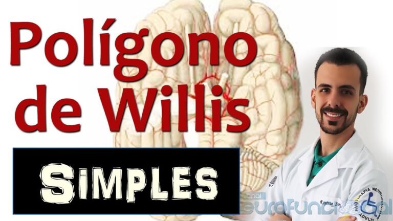 O Mist&eacute;rio do Pol&iacute;gono de Willia
