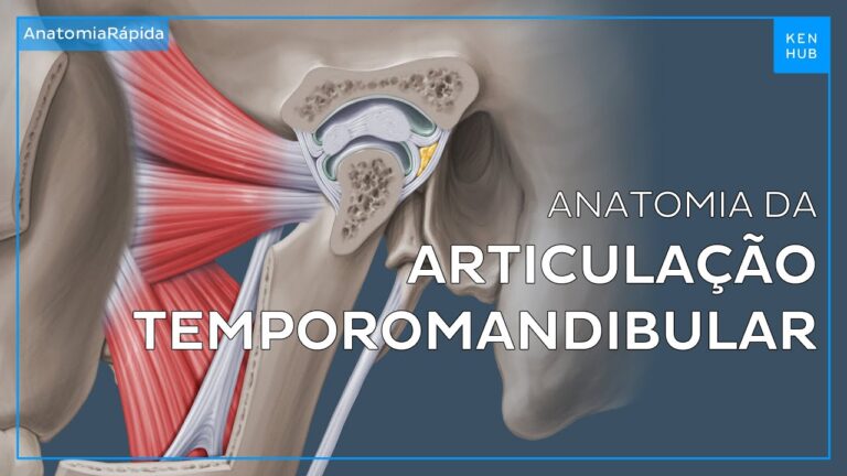 Classificação da Articulação Temporomandibular: Uma Visão Abrangente