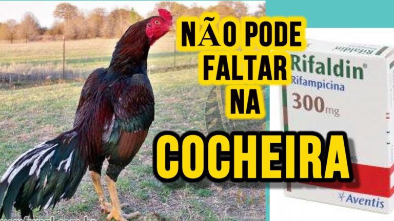Uso e Eficácia do Remédio Rifaldin