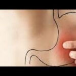 Anatomia e Fun&ccedil;&otilde;es do Osso P&eacute;lvico no Corpo Humano