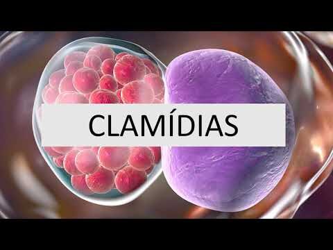 Pneumonia por clam&iacute;dia: causas, sintomas e tratamento