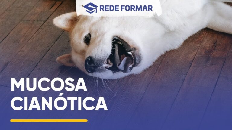 Significado de acianótico: Entenda o que é | Actualizado mayo 2026