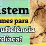 Calculadora TMB Harris: Como Calcular sua Taxa de Metabolismo Basal
