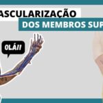 Rem&eacute;dios eficazes para ansiedade e compuls&atilde;o alimentar