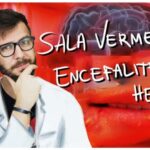 Fisioterapia em casa: Guia completo de exercícios