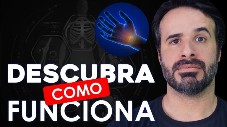 Articulação Selar: Estrutura e Função