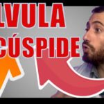 Materiais ideais para curativo pós-cirúrgico