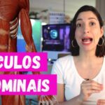 Entendendo o Síndrome Pulmão Rim: Causas e Tratamentos