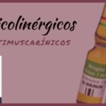 Calculadora da Taxa de Filtra&ccedil;&atilde;o Glomerular: Como Usar e Interpreta&ccedil;&otilde;es