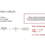 IMC Infantil: Tabela de Referência