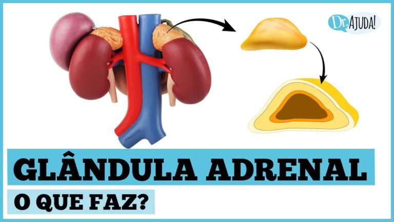 Importância da Função Adrenal: Tudo o Que Você Precisa Saber