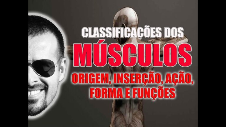 A Import&acirc;ncia dos M&uacute;sculos Unipenados na Performance Atl&eacute;tica