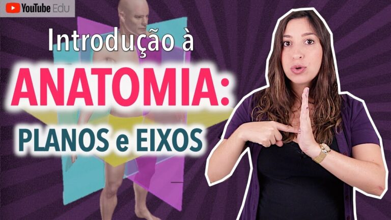 Principais Eixos Anatômicos: Uma Visão Geral