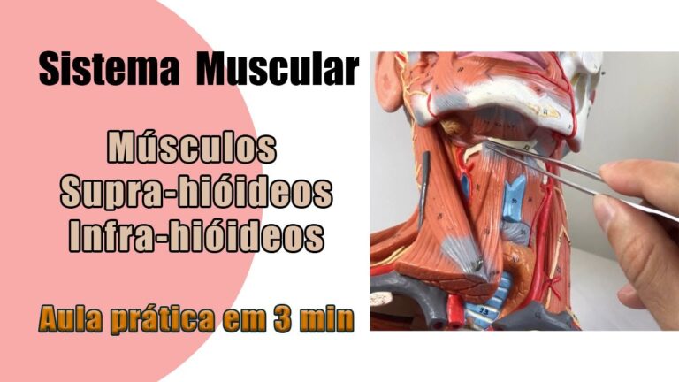 Desvendando os Mistérios de Omo Hioideo