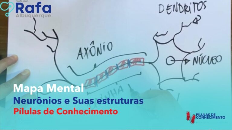 Mapa Mental dos Neurotransmissores: Entendendo suas Fun&ccedil;&otilde;es e Intera&ccedil;&otilde;es