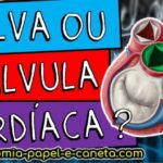 Dor Intensa no Ânus: Causas e Tratamentos