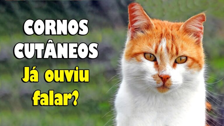 Entendendo os Chifres Cutâneos: Causas e Tratamentos