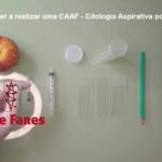 Dentes Permanentes: Quais s&atilde;o e como identificar