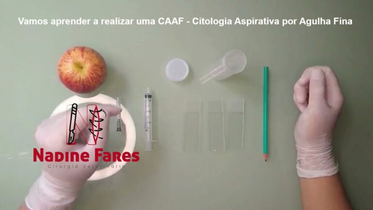 Desvendando o CAAF Exame: Dicas e Estratégias para o Sucesso