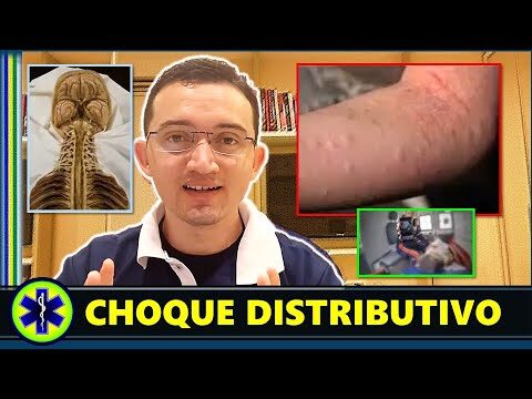 Entendendo o Choque Distributivo: Conceitos e Implicações