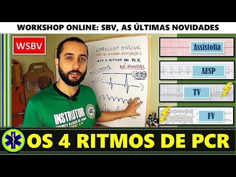 Ritmos de Paradas Card&iacute;acas: Compreens&atilde;o e Interven&ccedil;&otilde;es Eficazes