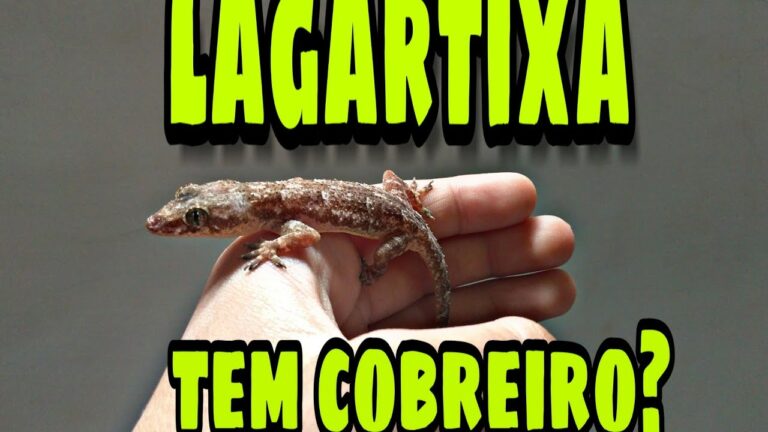 Descubra a Lagartixa da Cobreiro: Habitat e Curiosidades | Actualizado ...