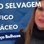 Alimentos ideais para sonda de gastrostomia