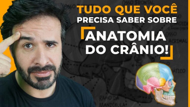 Caixa Protetora do Cérebro: Inovações e Benefícios