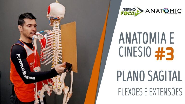 Entendendo o Eixo Látero-Lateral na Biomecânica