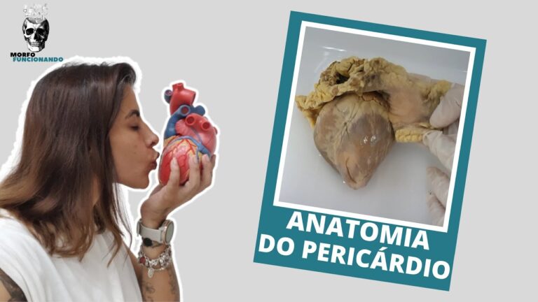 Importância do Seio Transverso do Pericárdio na Cirurgia Cardíaca