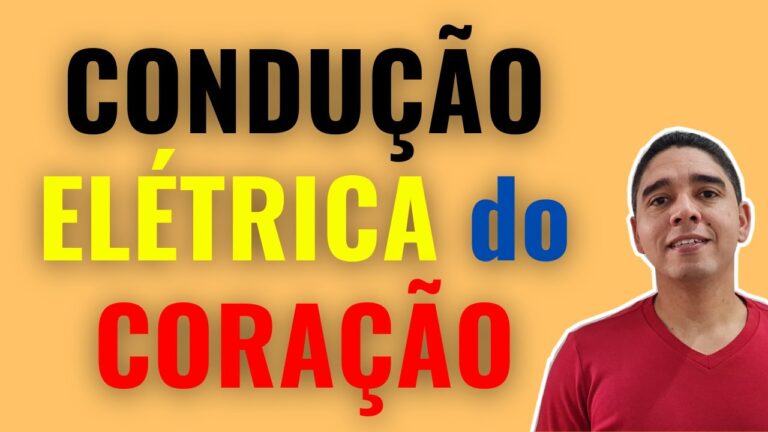 Despolariza&ccedil;&atilde;o e Repolariza&ccedil;&atilde;o Card&iacute;aca: Mecanismos e Import&acirc;ncia na Sa&uacute;de Cardiovascular