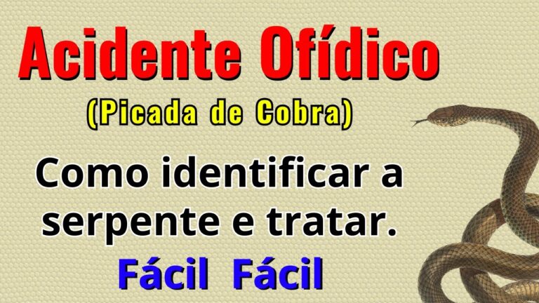 Entendendo o Acidente Elapídico: Causas e Prevenção