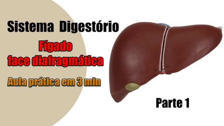 Recesso Subfrenico: Diagnóstico e Tratamento Eficientes