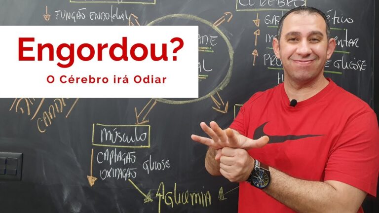 Causas da Resistência à Insulina