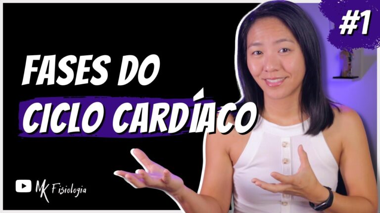 Entendendo o Círculo Cardíaco: Estrutura e Função