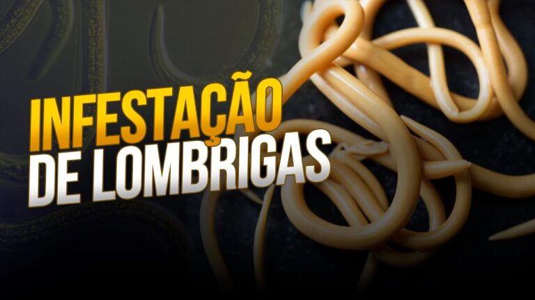 O Mistério do Bolo de Ascaris: Delícias e Curiosidades