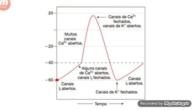 Células Marca-Passo: Avanços e Aplicações na Medicina