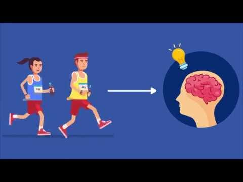 Entendendo o BDNF: O Que É e Sua Importância