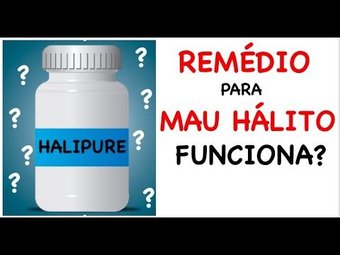 Champex Bula: Guia Completo e Atualizado