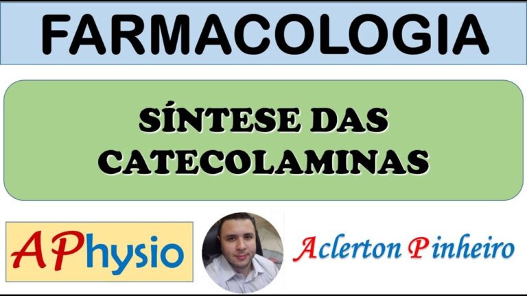 Catecolaminas: Entenda Seu Papel e Fun&ccedil;&otilde;es no Organismo
