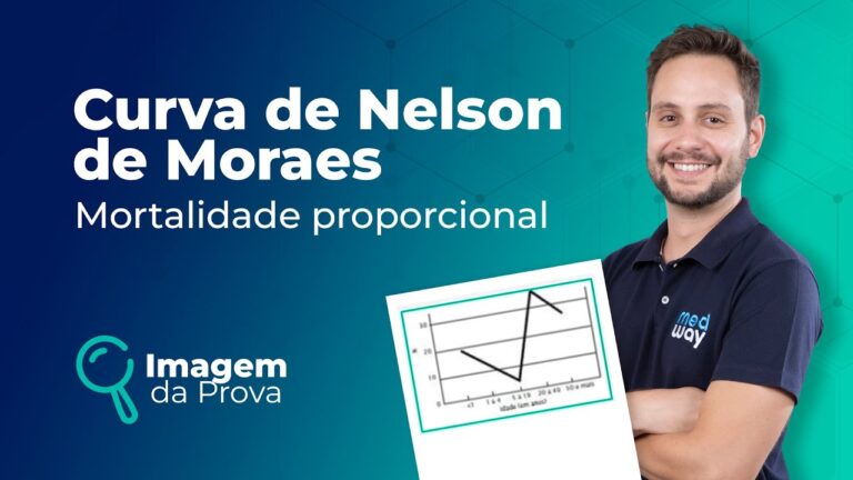 Explorando as Curvas de Nelson Moraes: Análise e Aplicações