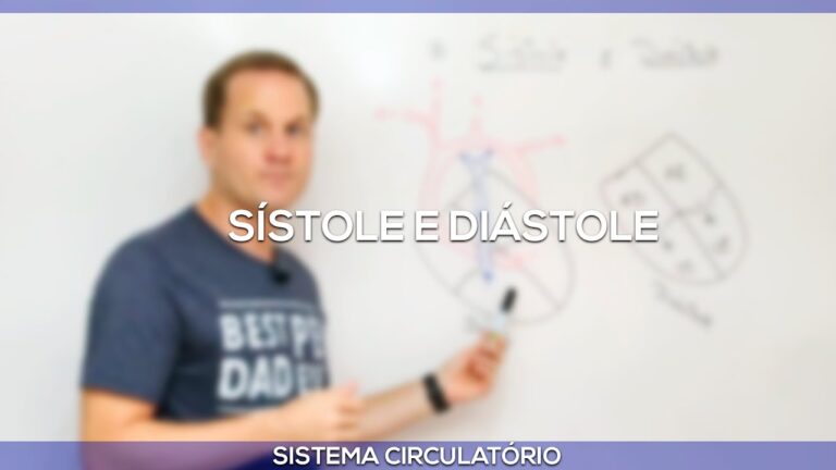 Diastole: Entenda o Que É e Sua Importância na Saúde Cardiovascular