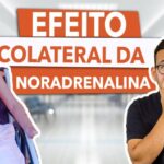 Guia Completo sobre Doen&ccedil;as Ginecol&oacute;gicas: Sintomas, Tratamentos e Preven&ccedil;&atilde;o