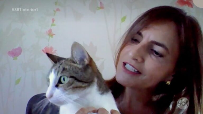 Linfonodos em Gatos: O Que Você Precisa Saber