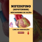 Adenomiose: Entenda o Sangramento Intenso